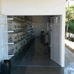 Criatório Central